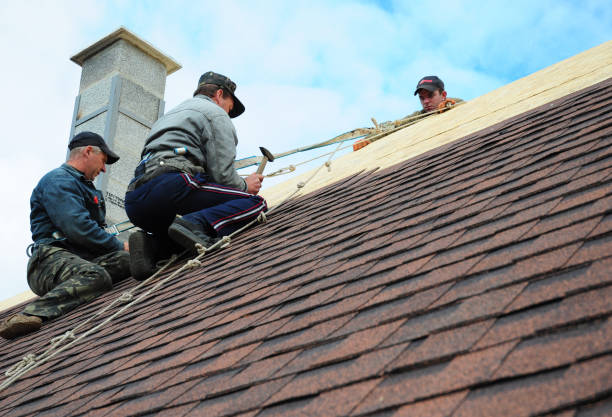 Best Storm Damage Roof Repair  in Euharlee, GA